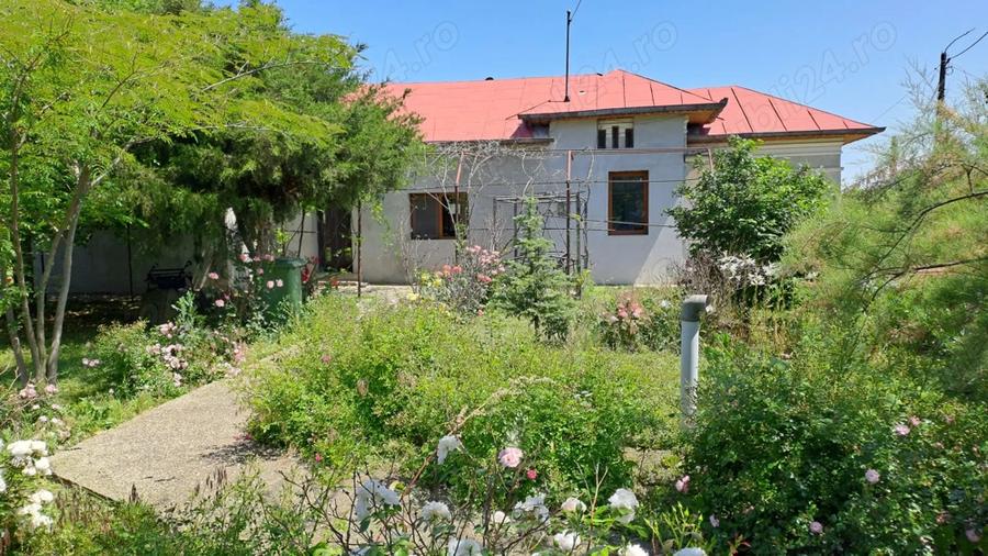 Casa si teren 1500m - 8