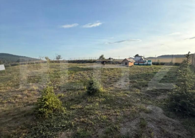 Cabana din lemn rotund, 2 camere, 140 mp, teren 2800 mp, Pal - 10