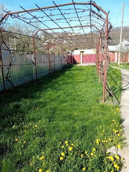 Vilă de vânzare  - 3