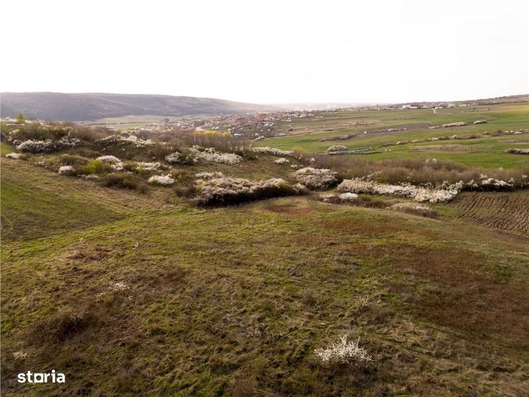 RECO Teren exclusivist 1800 mp in Betfia panorama superba - 5