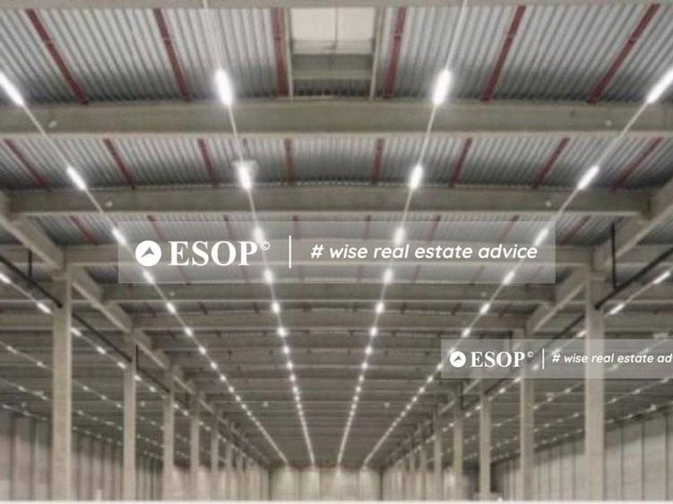 WDP Industrial Park Codlea, hale industriale, 0%comision, 2300-32870mp - 4
