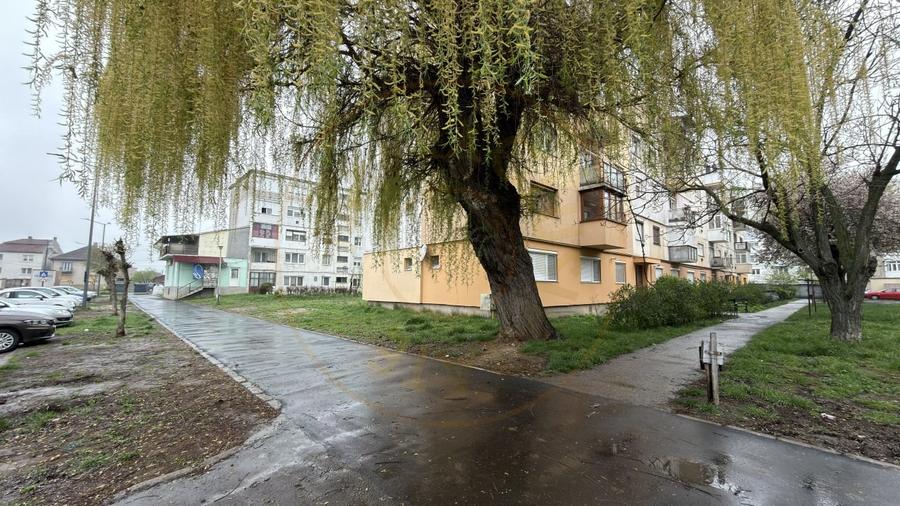 Apartament 2 camere Zona Penny Etaj II, Ignișului 28 - Carei - - 17