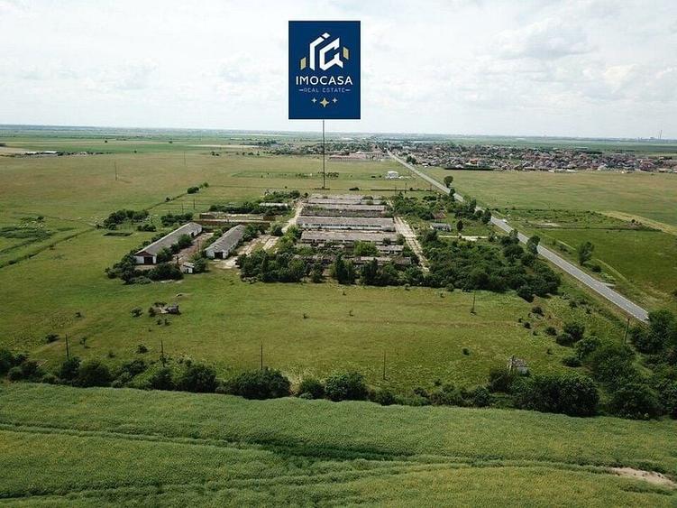 Hale depozitare, grajd, Curte betonata, Horia Jud. Arad - 4