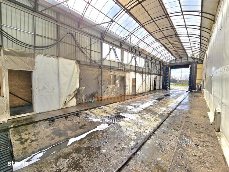 PROPRIETATE MULTIFUNCTIONALA | TEREN 3788 MP | SPALATORIE CAMIOANE + C - 5