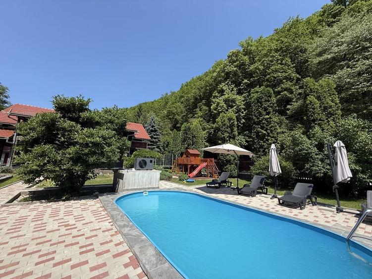 Vand casa de vacanta cu piscina si vibromasaj - 8