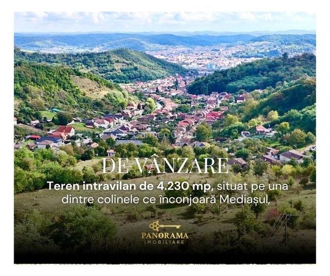 Teren intravilan cu vedere panoramică  4230mp - Mediaș