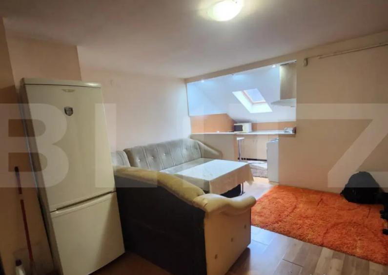 Apartament 1 camera, zona Valeria Peter Predescu - 8