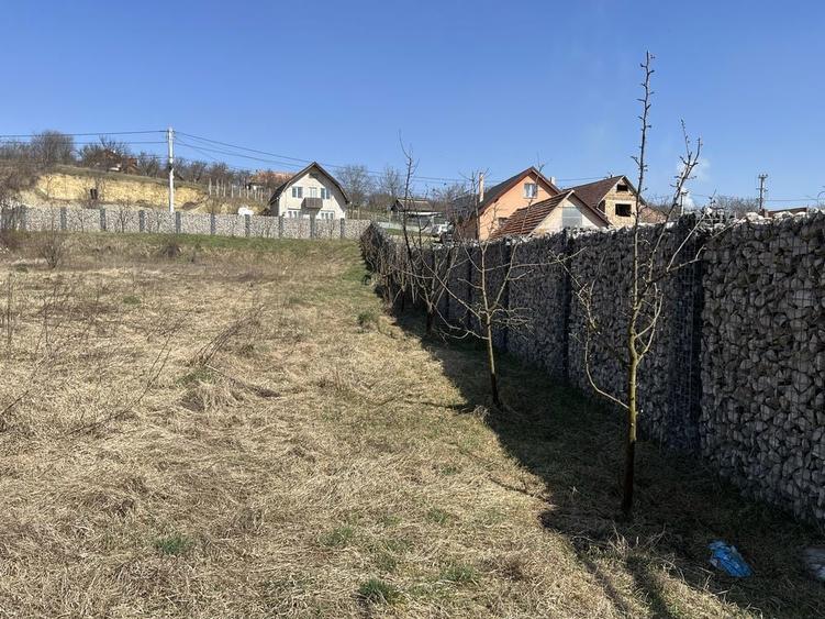 Teren de vanzare Comuna Sandulesti jud CJ - 2