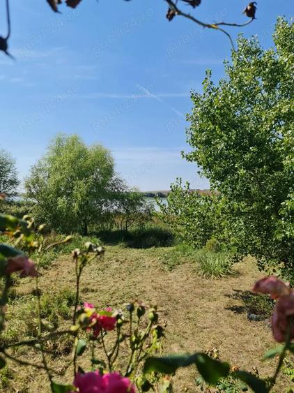 Vand teren pe malul lacului de la Pischia. Un front la lac altul la 30m de padure - 6