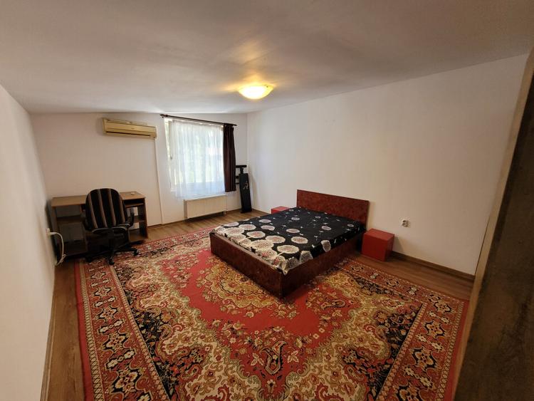 Casa pet friendly in Plopilor - 8