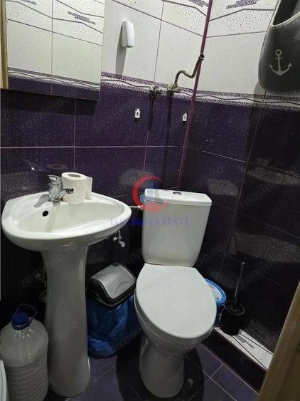 Investi #539;ie sigura 2 garsoniere independente Etaj 1 l #226;ng #259; Bega Bujorilor - 5