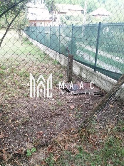 Teren Intravilan 10.000 mp | Livadă + Pădure de salcâm | Bărbătești - 7