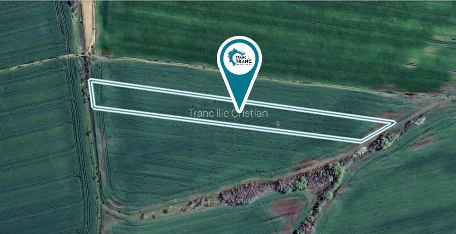 Teren agricol de 1,14 ha in Zimandu Nou Teren agricol de 1,14 ha in Zimandu Nou