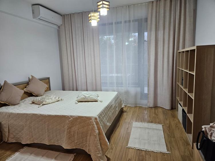 Iancu Nicolae/Residence 5 /Studio elegant / - 17