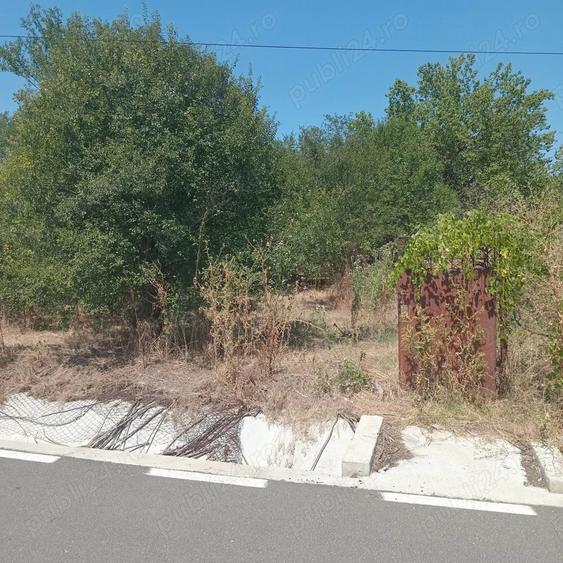 teren 1200 mp cu casa 80 mp Rasmiresti TR - 7