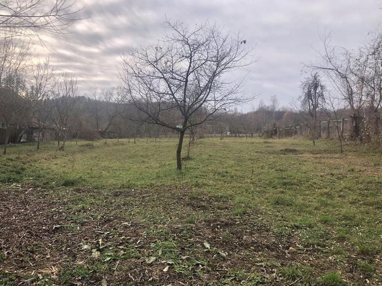 Casa plus anexe 1000 mp - 8