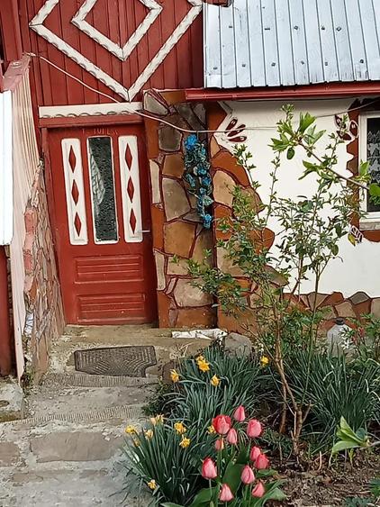 Negociabil! Casa la munte, zona turistica, peisaj superb. Teren 600mp. sat Col?ii de Jos, Buzau - 4