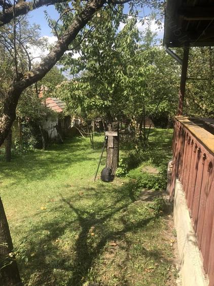 Casa batraneasca de vanzare in satul Martanus, Jud. Covasna - 10