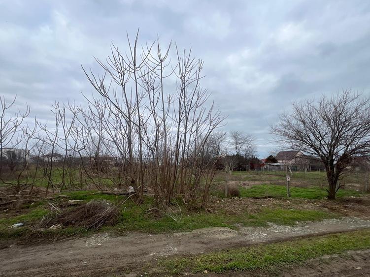 teren constructii (Palazu -Fost Comcereal)790 mp/22 deschidere, CASE IN JUR - 1