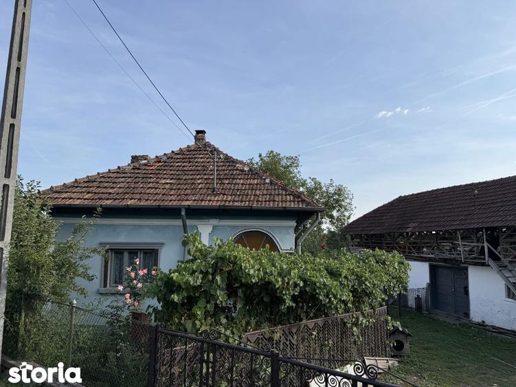 Vand Casa Batraneasca + Teren 1754 mp Com. Malureni Sat Bune?ti Arge? - 7
