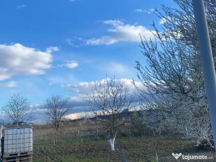 Teren municipiul Bacau - 1