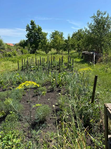 Casa de vanzare Reghin - 2