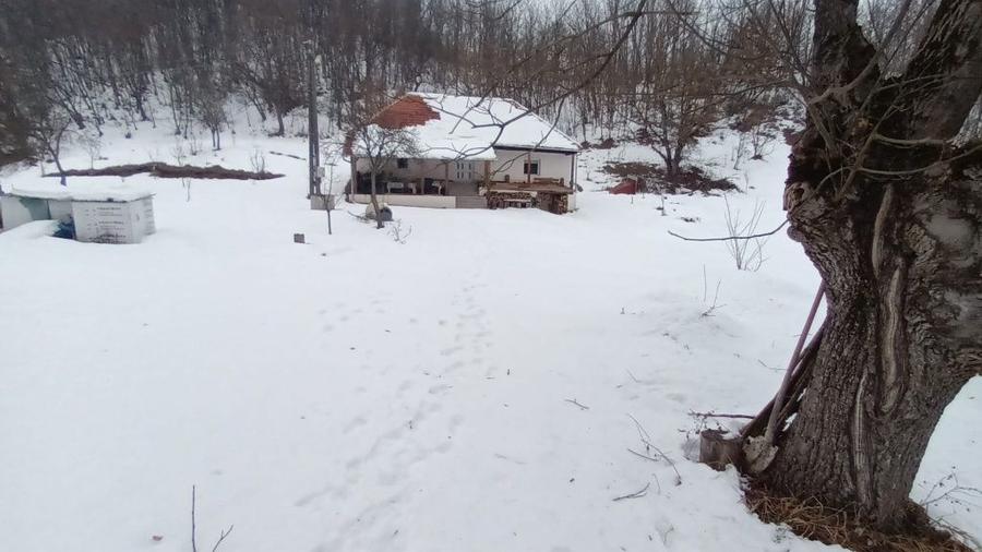 Casa de vanzare comuna Densus - 2