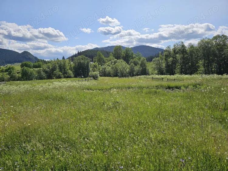 De vanzare Teren intravilan cu casa si anexe in Bucovina Moldova Sulita - 9