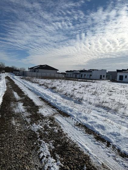 Domnesti Vand teren in Domnesti - 5