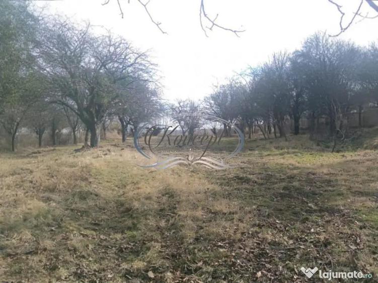 Teren pentru casa sau duplex in sat Gheorgheni - 4