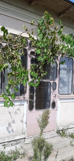 Vand casa batraneasca, sat Socetu, comuna Stejaru, Jud. Teleorman - 1