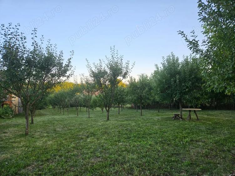 Vand teren intravilan, 950mp in sat Topircea jud. Sibiu - 1