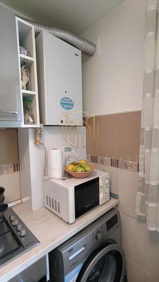 Teiul Doamnei 2 cam 35 mp SU ,cf 2 , an 1965, pet 63000 eur - 3