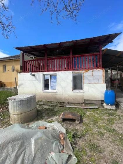 Locuinta in Ticu-Colonie (Casa de vacanta la un pret corect!) - 10