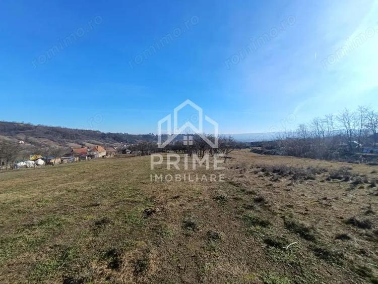 Teren Generos in Pacli?a Intimitate ?i Natura la un pas de ora? - 1