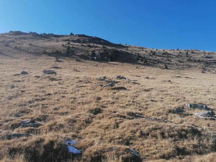 Platoul Bucegi zona Blana 2500mp intravilan construibil - TransBucegi - 14