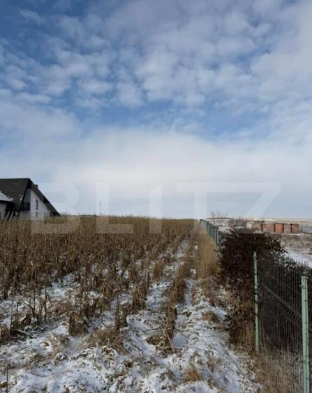 Teren Extravilan 33,6 ari, Zona Frumoasa, Scheia. - 3