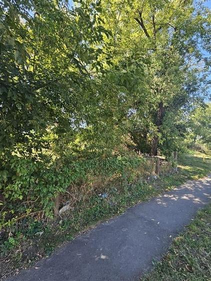 TEREN INTRAVILAN DE VANZARE ONESTI - 8