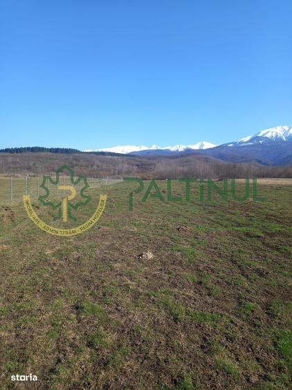 Vindem teren Sibiu, Valea Lupului, priveliste deosebita - 5