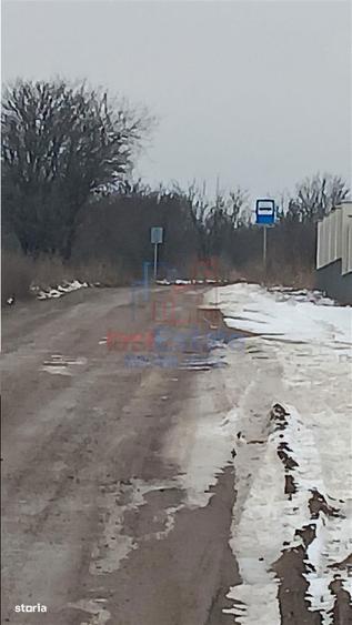 Visan str Dealul Craitelor TEREN 6383mp si 4217mp utilitati si trans - 3