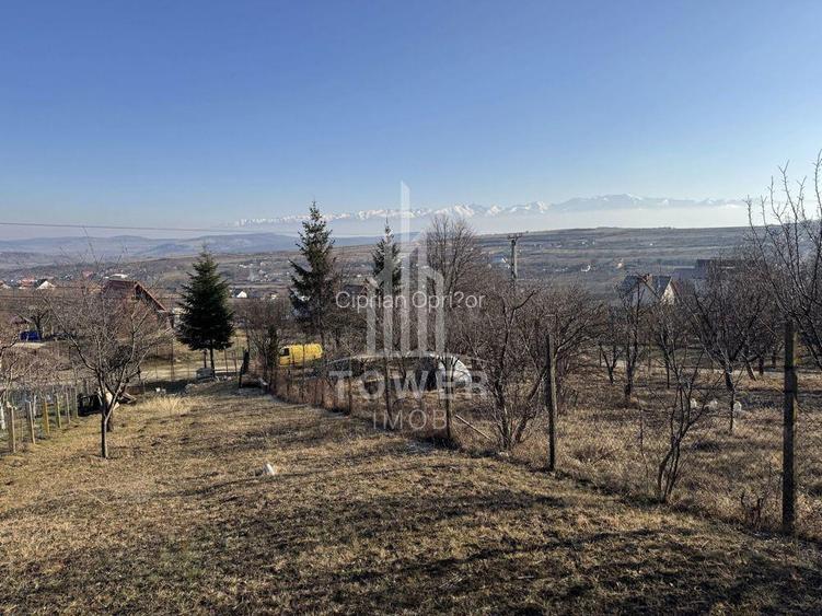 Casa cu 3 camere si teren | 111mp utili 450mp teren | Daia Noua | EXCLUSIVITATE Casa cu 3 camere si teren | 111mp utili 450mp teren | Daia Noua | EXCLUSIVITATE
