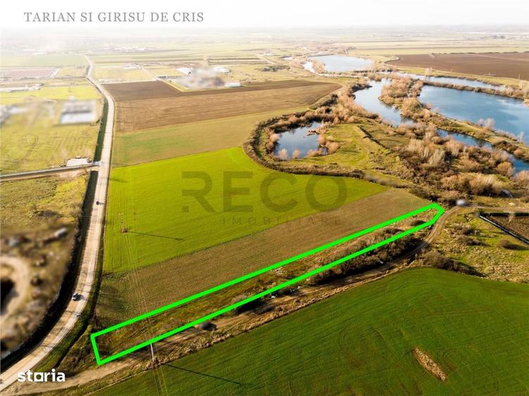 RECO Teren extravilan 2500mp in Palota - 5