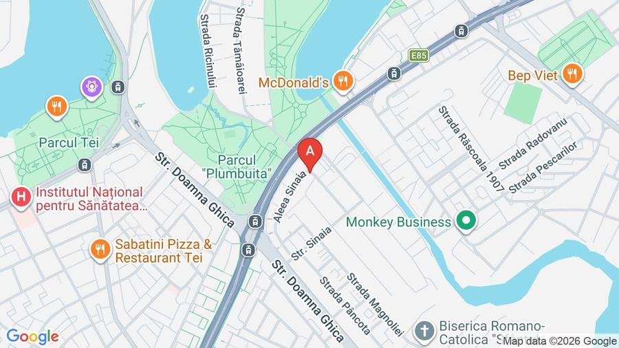 Colentina Doamna Ghica - 1