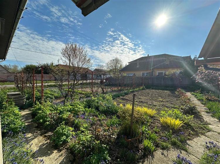 BOCSA Romana, Casa Cocheta cu Gradina - 13