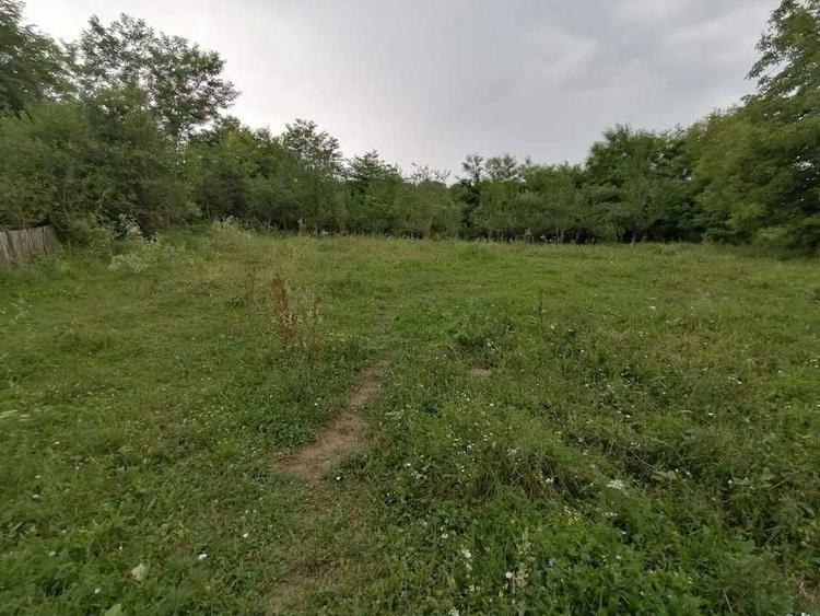 Loc de casa in Seica Mare 700 mp - asfalt - cu toate utilitatile - 1