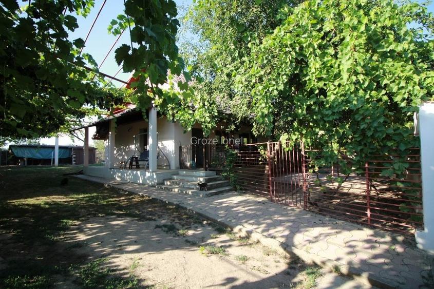 Casa La Tara  - 2700MP - Tichilesti Constanta - Vita De Vie - Pomi Fructiferi