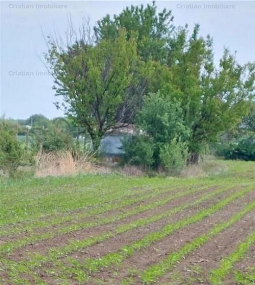 La Soseaua Principala (Braila-Buzau) Teren 2500 mp deschider - 6