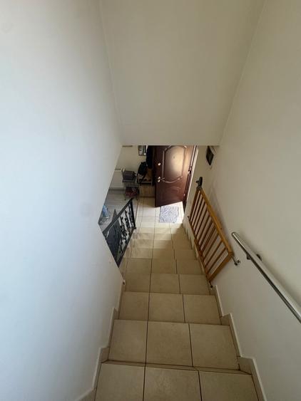 Casă Individuală de Vânzare Berceni Ilfov – 4 Camere, 250 mp - Stradă Asfaltată - 19