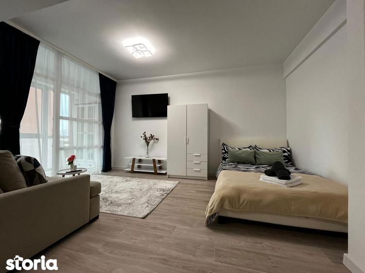 Apartament de inchiriat, o camera, Open space, 35 mp, Lunca Cetatuii - 11