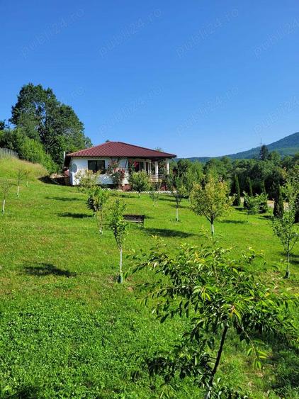Casa si teren intravilan 2,7 hectare in Sovata - 10